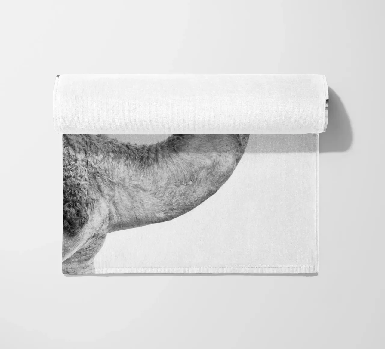 Camel beach towel by photolovers