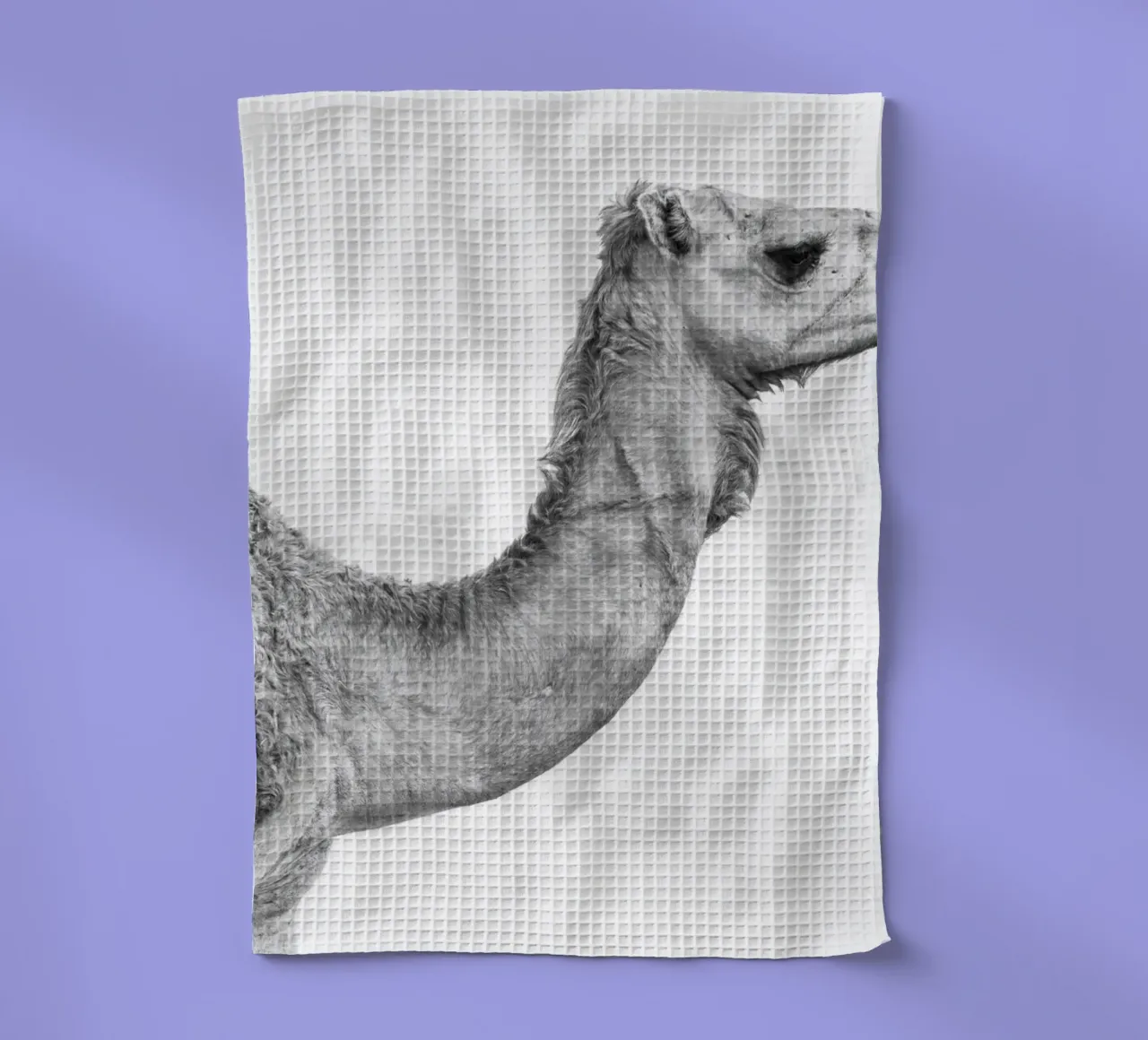 Camel torchon de photolovers