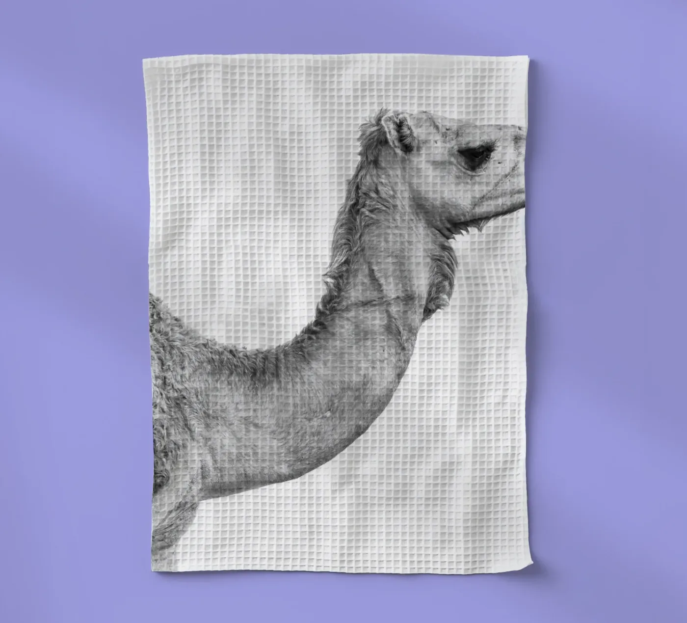 Camel theedoek van photolovers