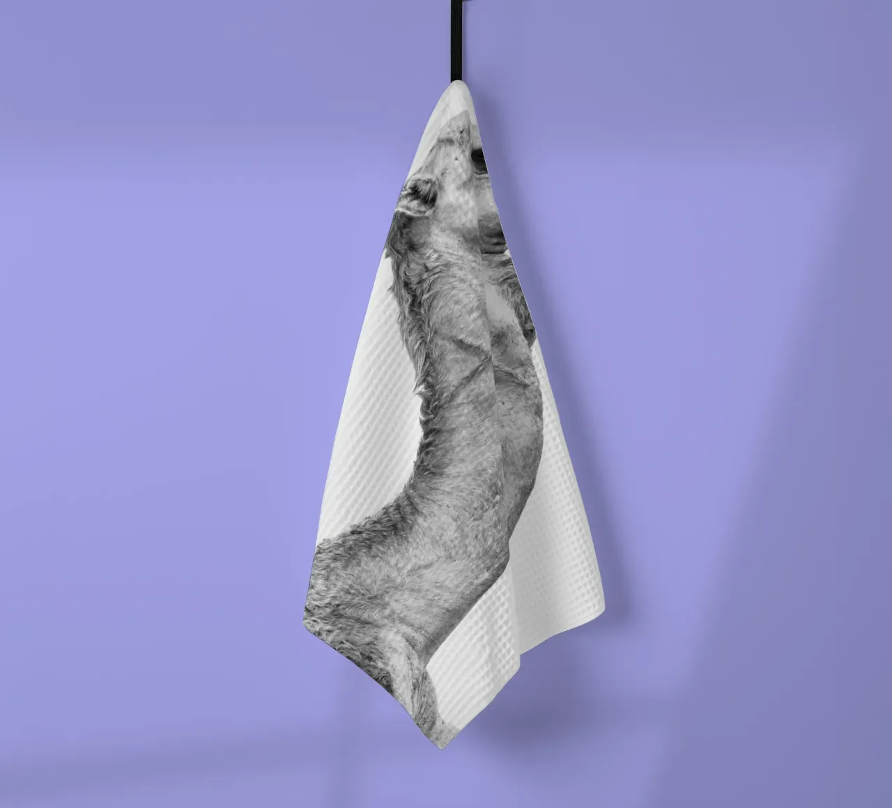 Camel torchon de photolovers