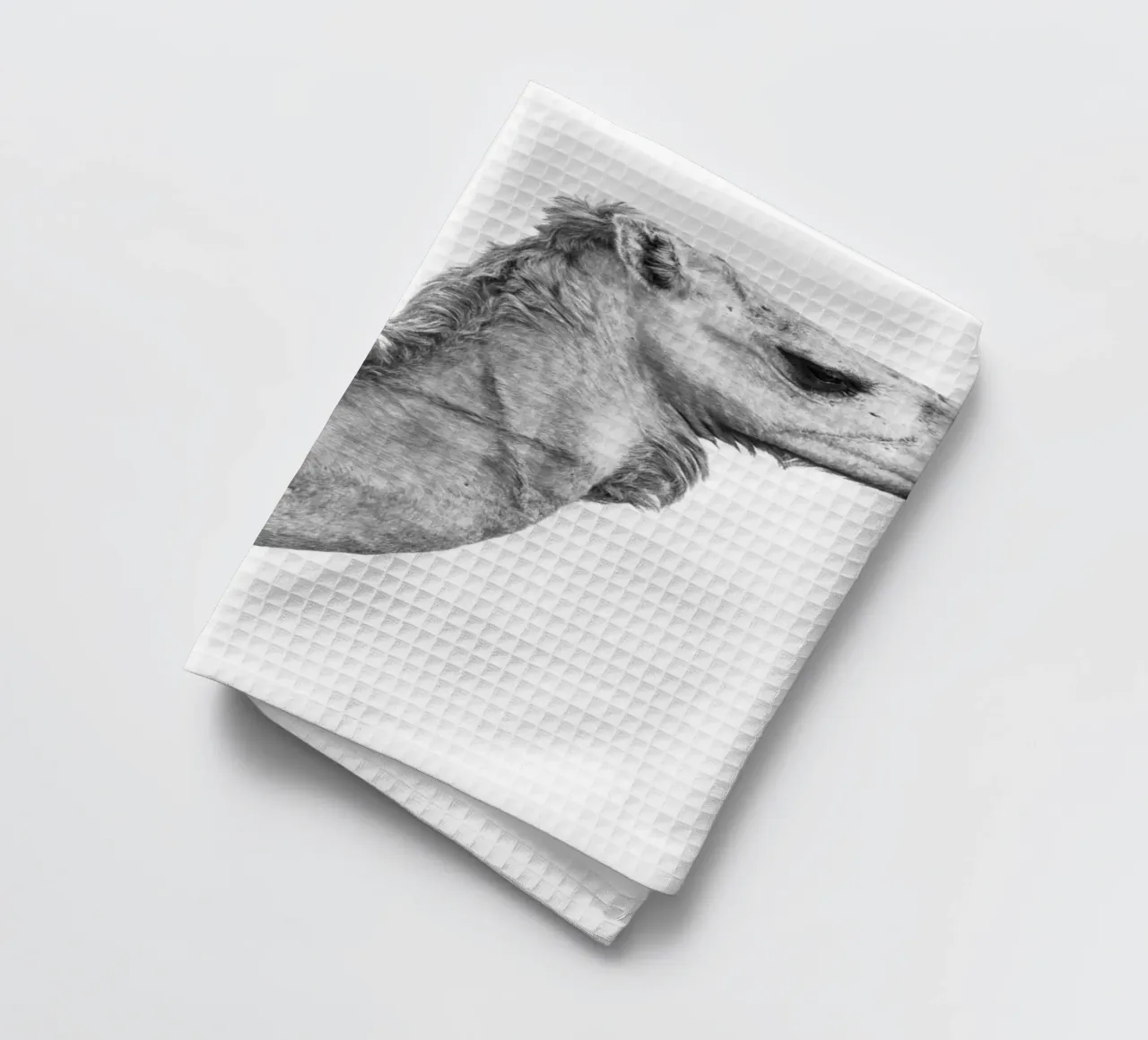 Camel torchon de photolovers