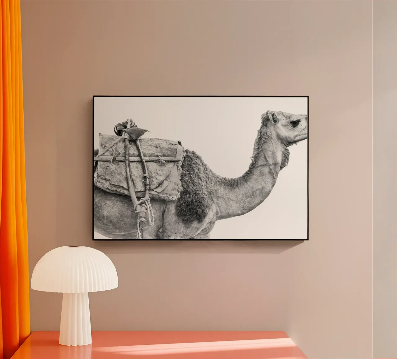Camel plexiglas de photolovers