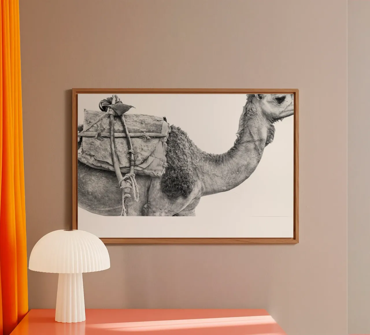Camel forex plate by photolovers