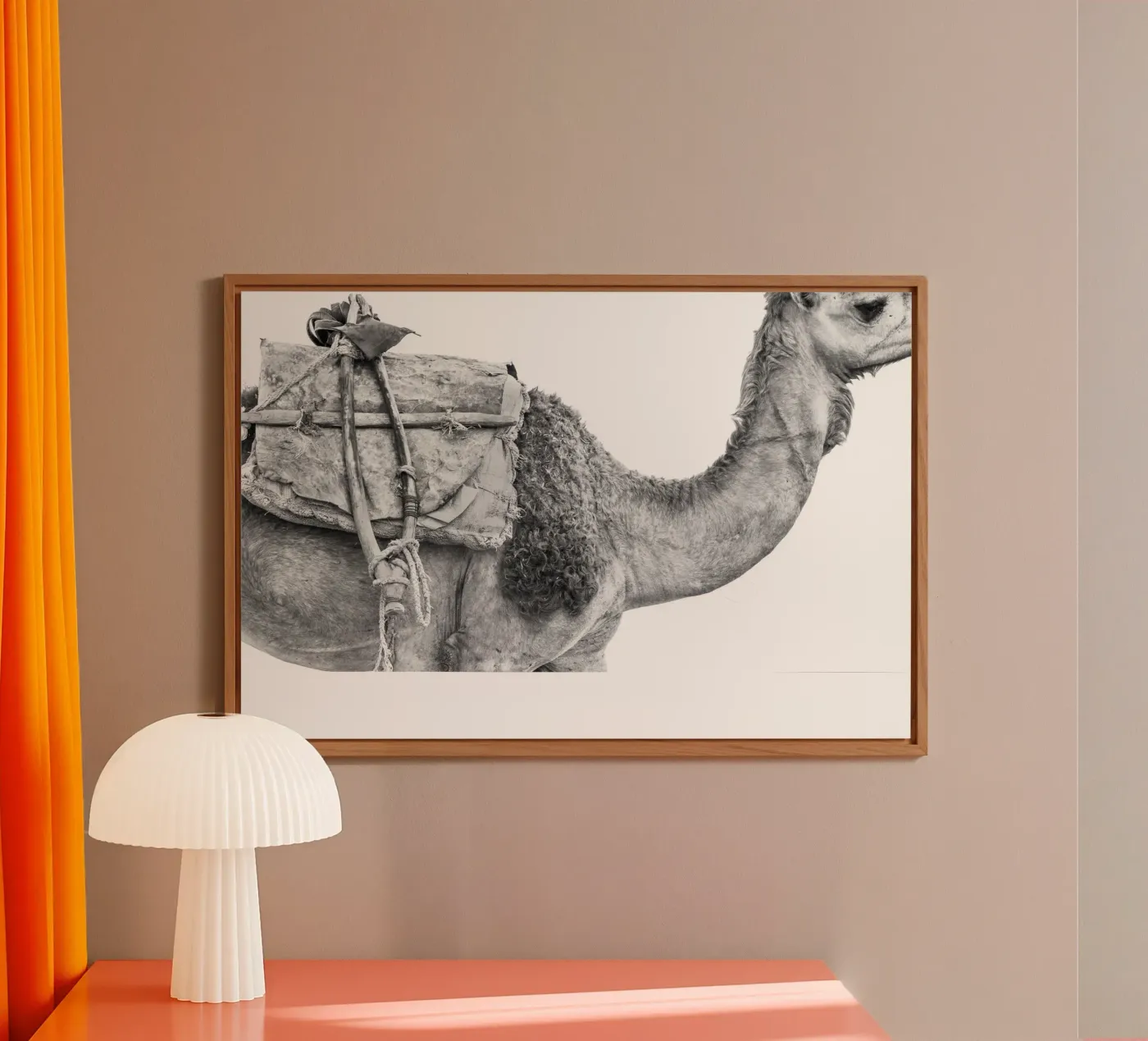 Camel pannello forex da photolovers