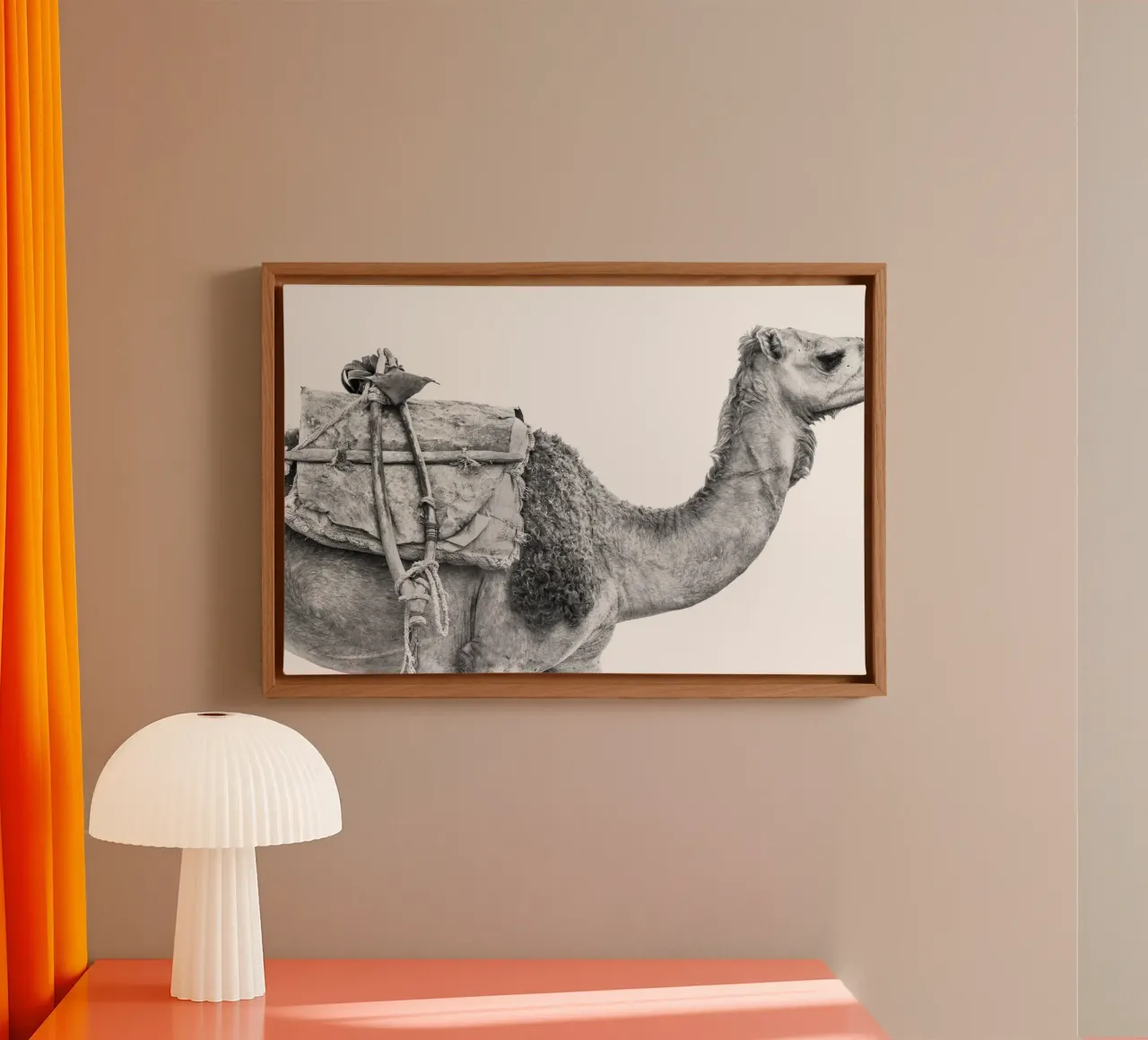 Camel canvas by photolovers
