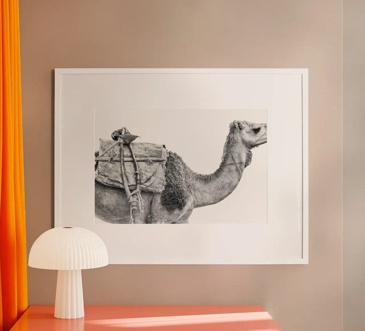 Camel poster van photolovers