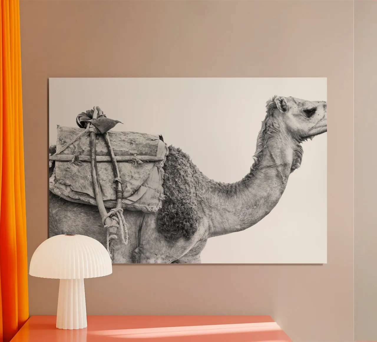 Camel poster van photolovers
