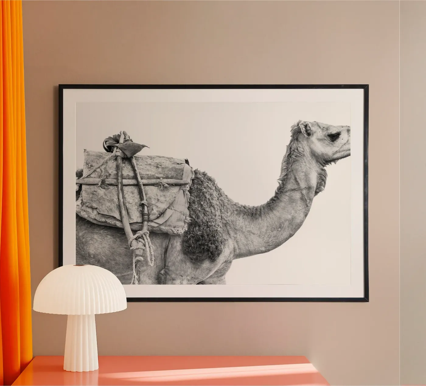 Camel poster da photolovers