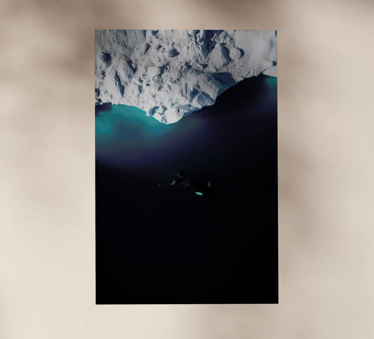 Gliding Through the Deep pellicola backlit da EyeEm Mobile GmbH