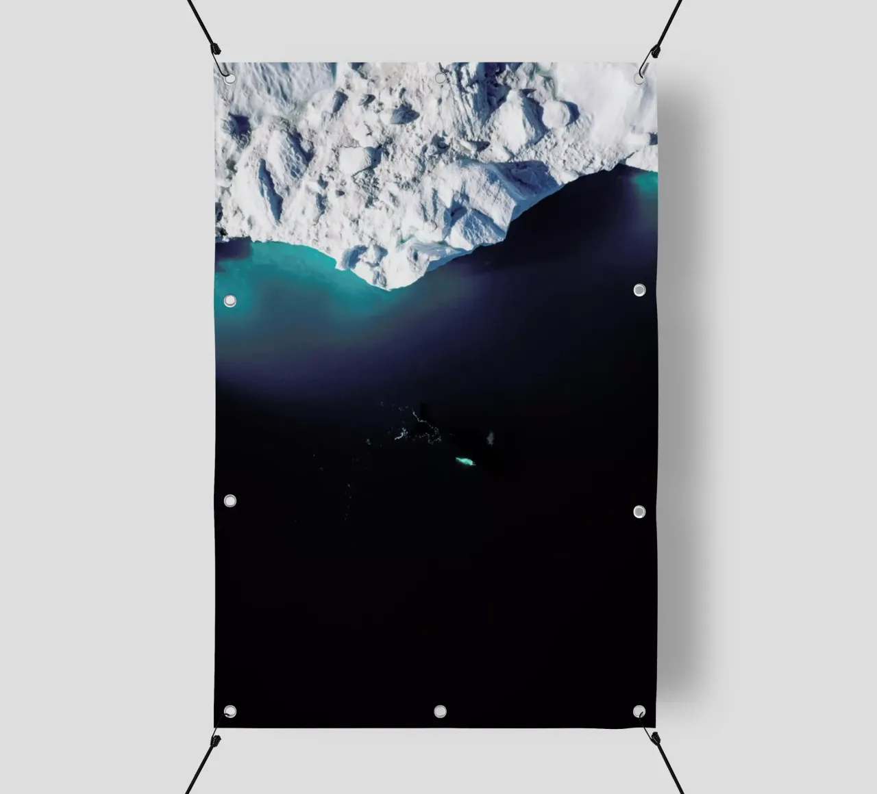 Gliding Through the Deep telo in pvc da EyeEm Mobile GmbH