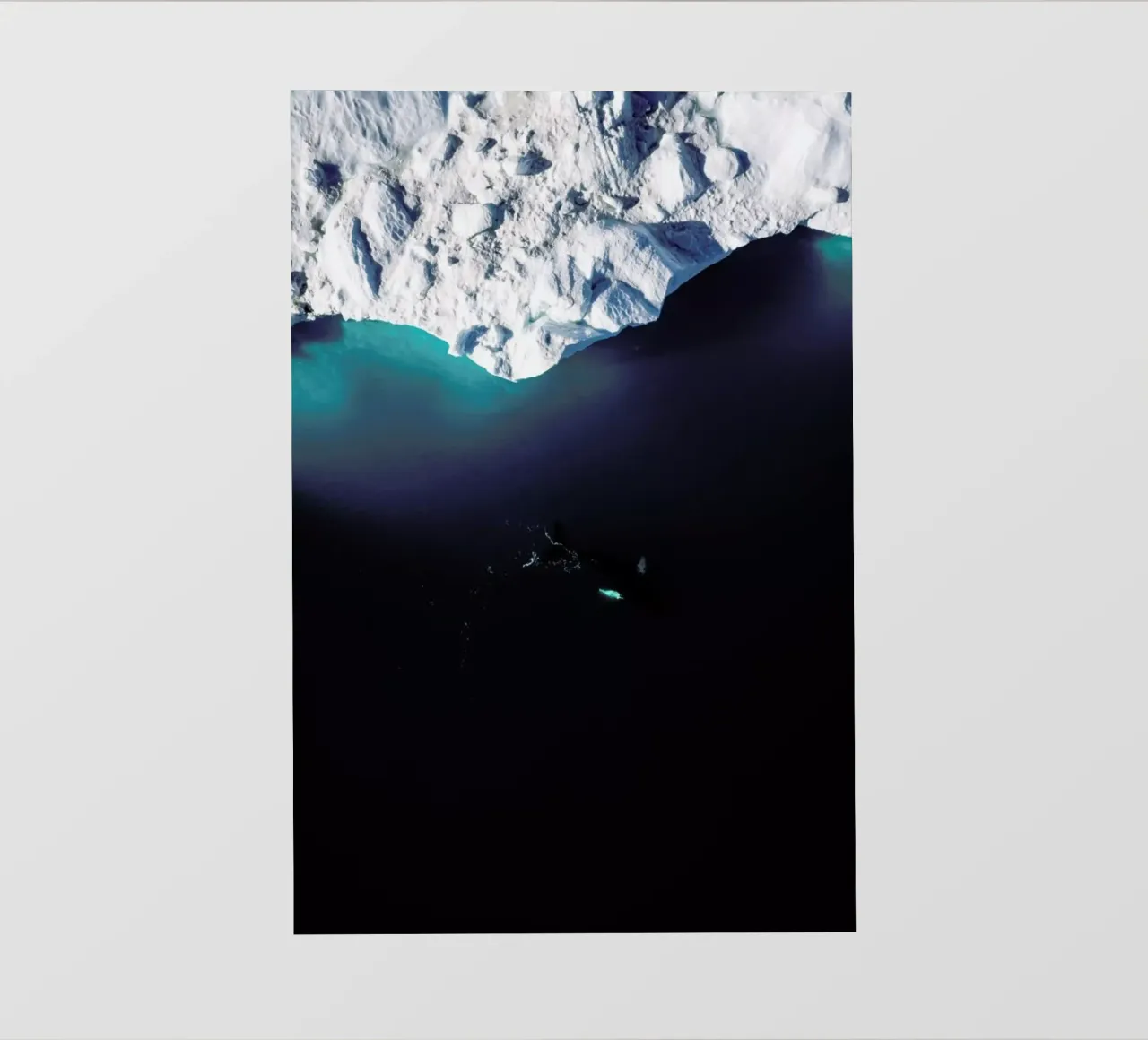 Gliding Through the Deep telo in pvc da EyeEm Mobile GmbH