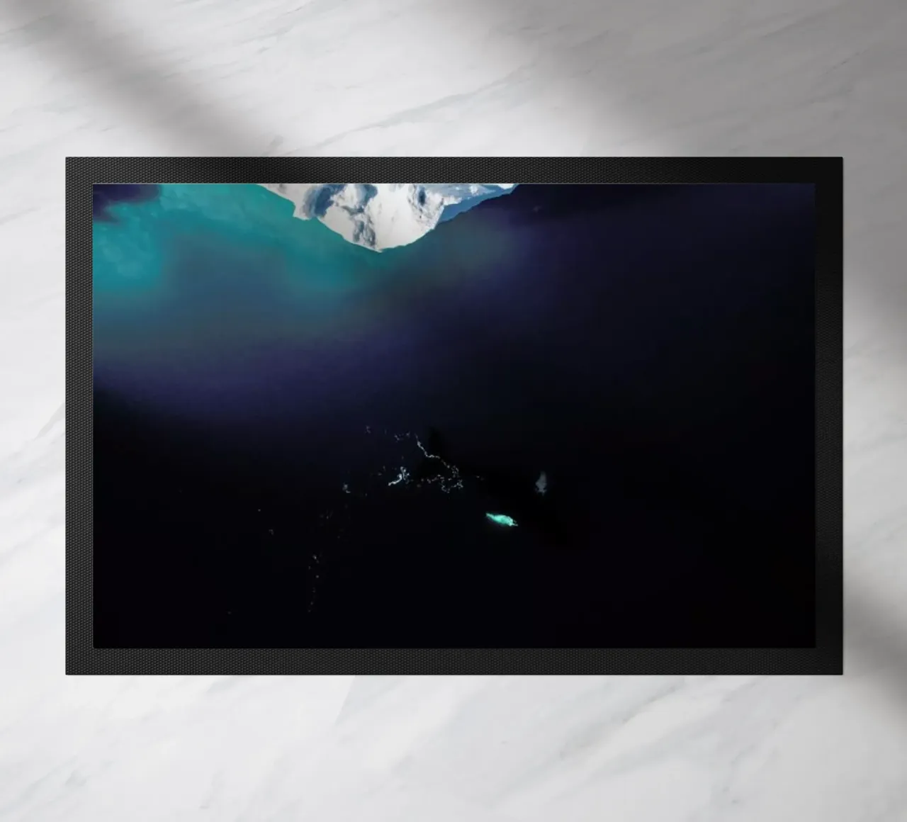 Gliding Through the Deep zerbino da EyeEm Mobile GmbH