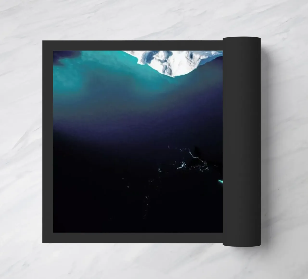 Gliding Through the Deep zerbino da EyeEm Mobile GmbH