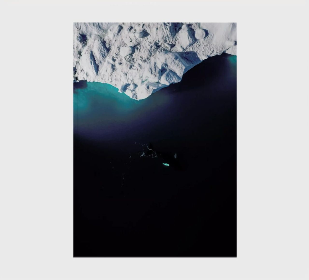 Gliding Through the Deep notebook by EyeEm Mobile GmbH