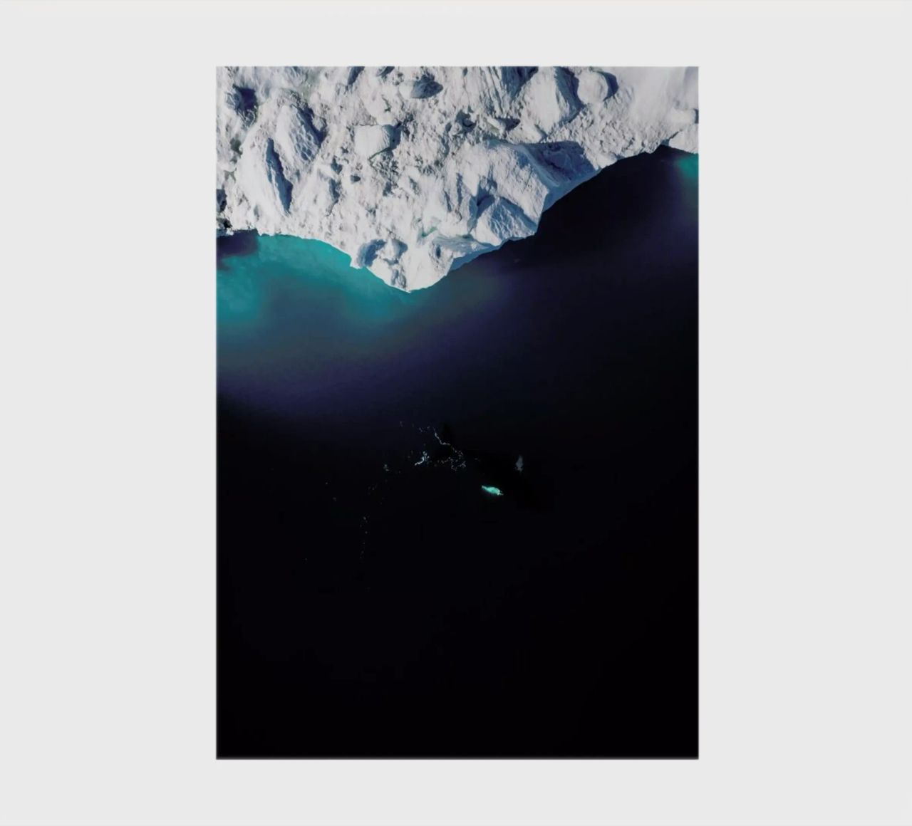 Gliding Through the Deep notebook by EyeEm Mobile GmbH