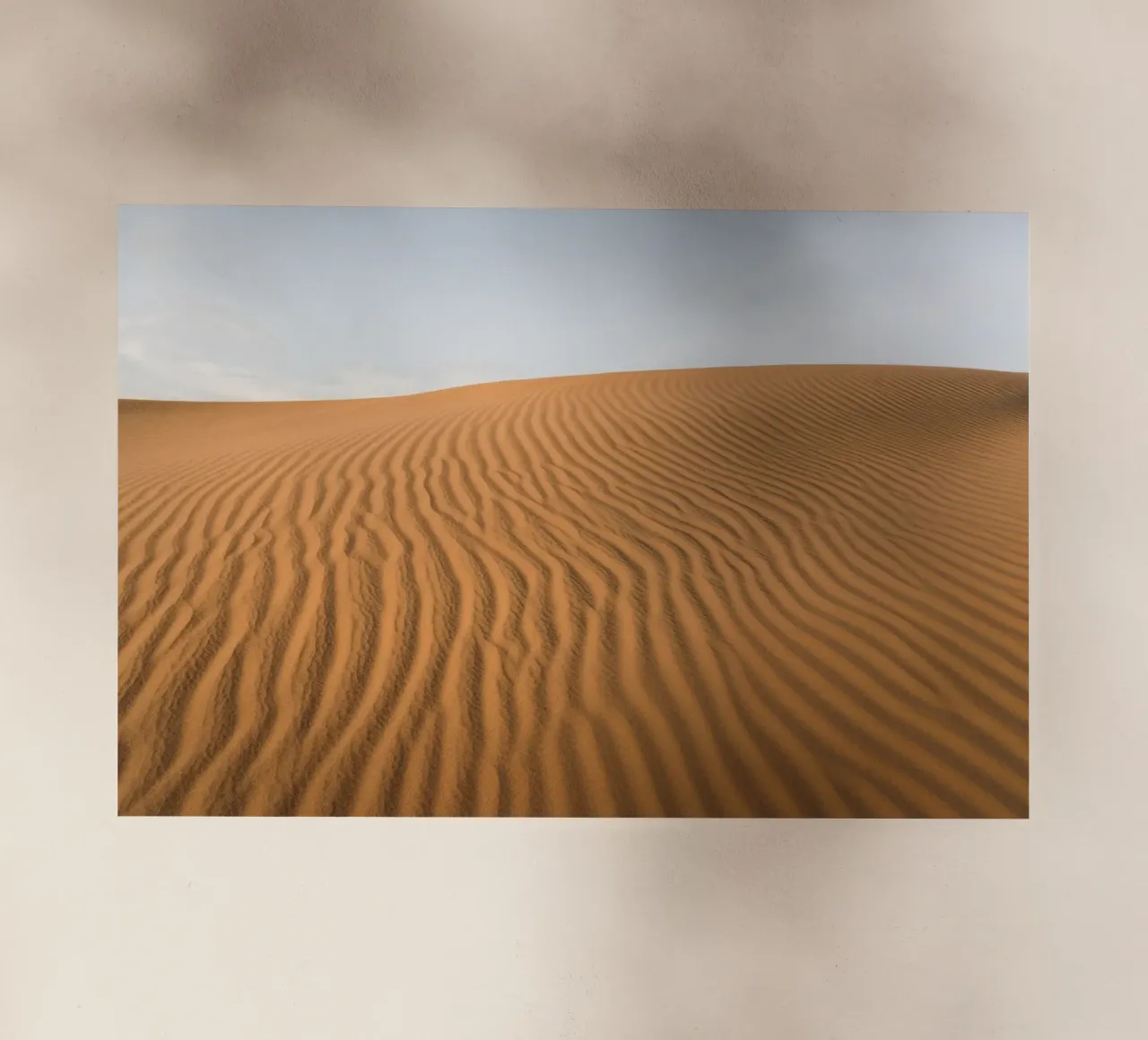 Sand dune in the Sahara desert pellicola backlit da photolovers