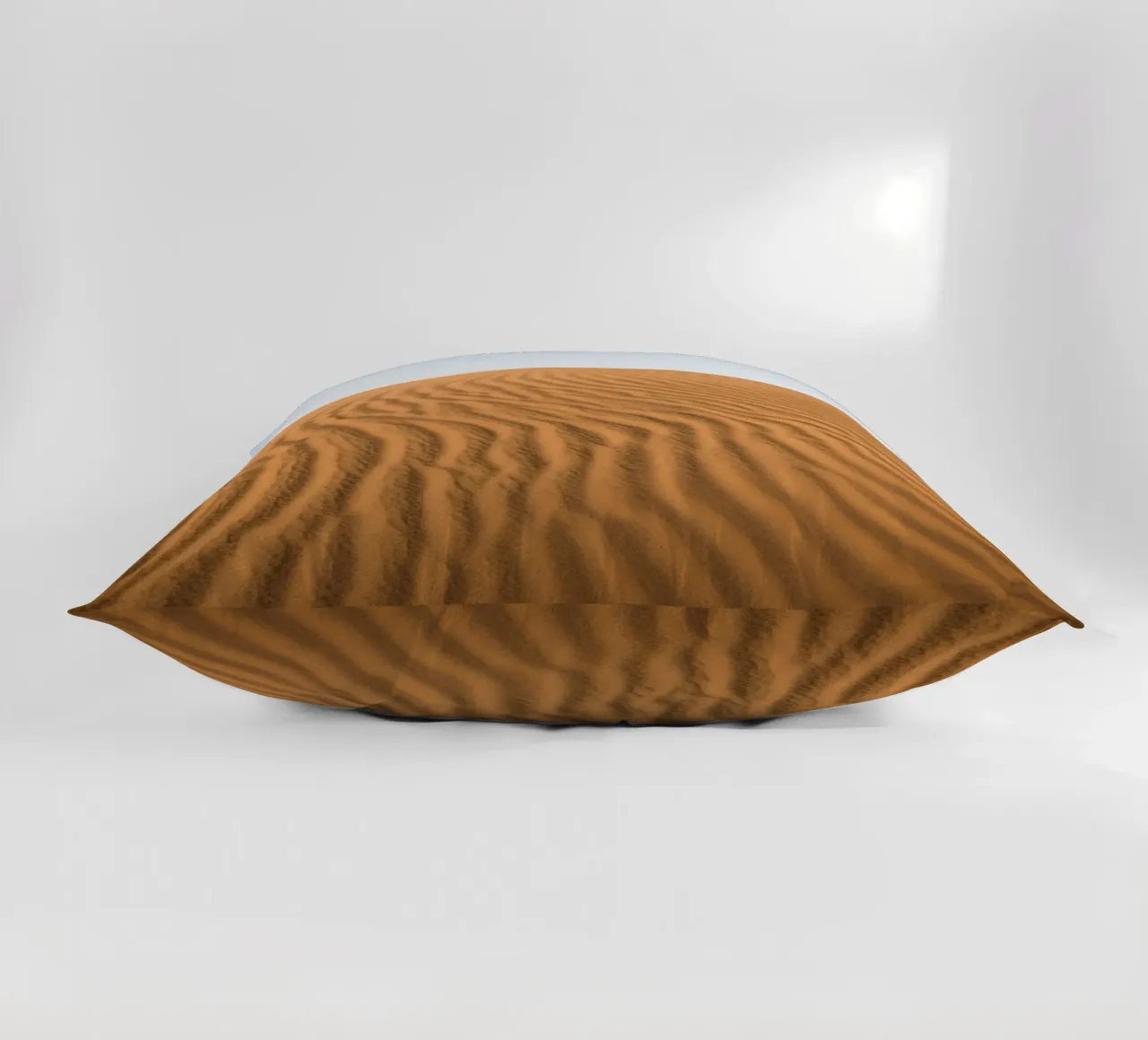 Sand dune in the Sahara desert cuscino da photolovers