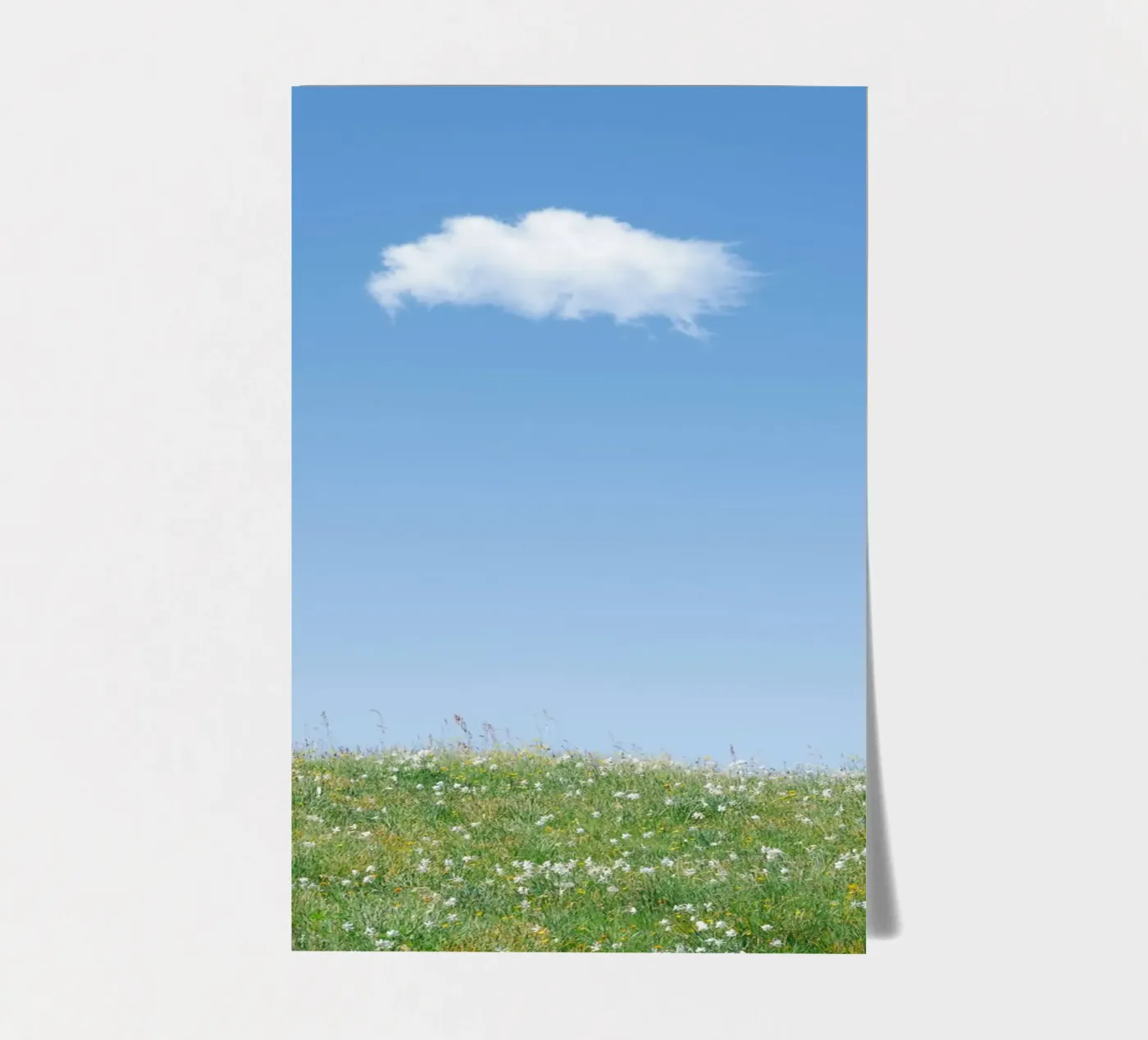 nuage unique planche autocollant de Earthly Visions