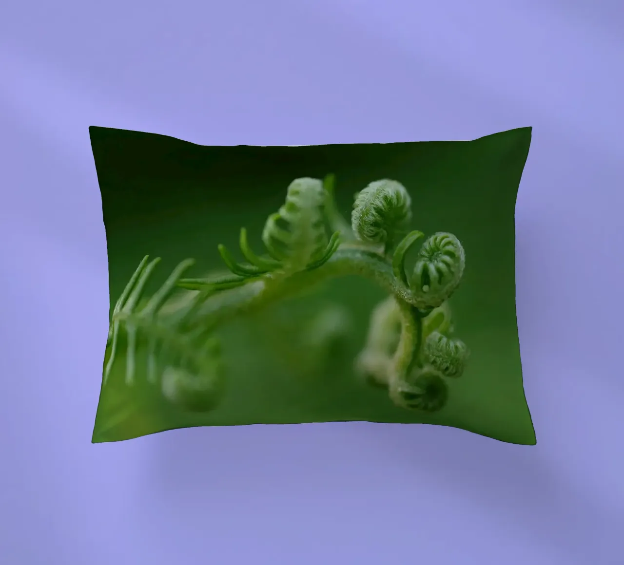 spirali di felce cuscino da Earthly Visions