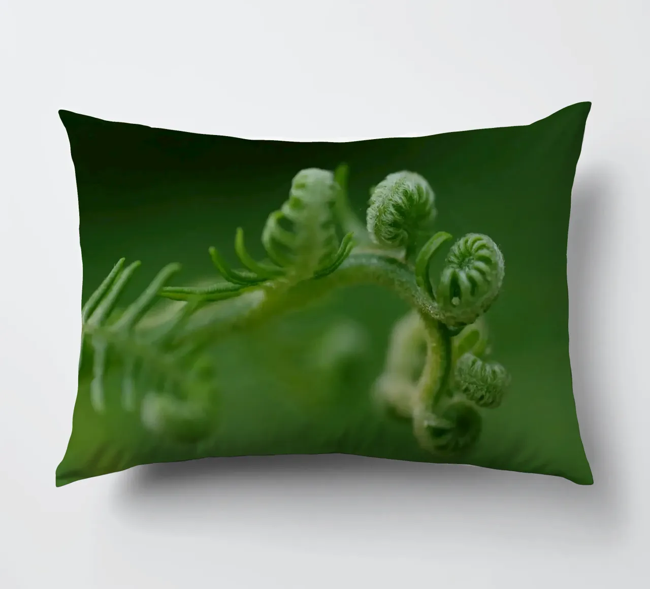 spirali di felce cuscino da Earthly Visions