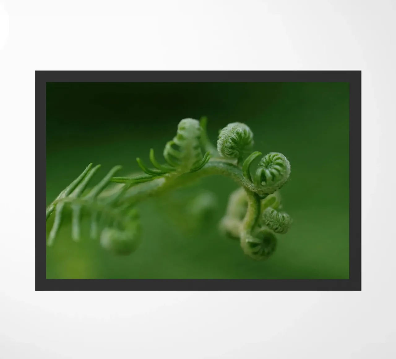 fern spirals doormat by Earthly Visions