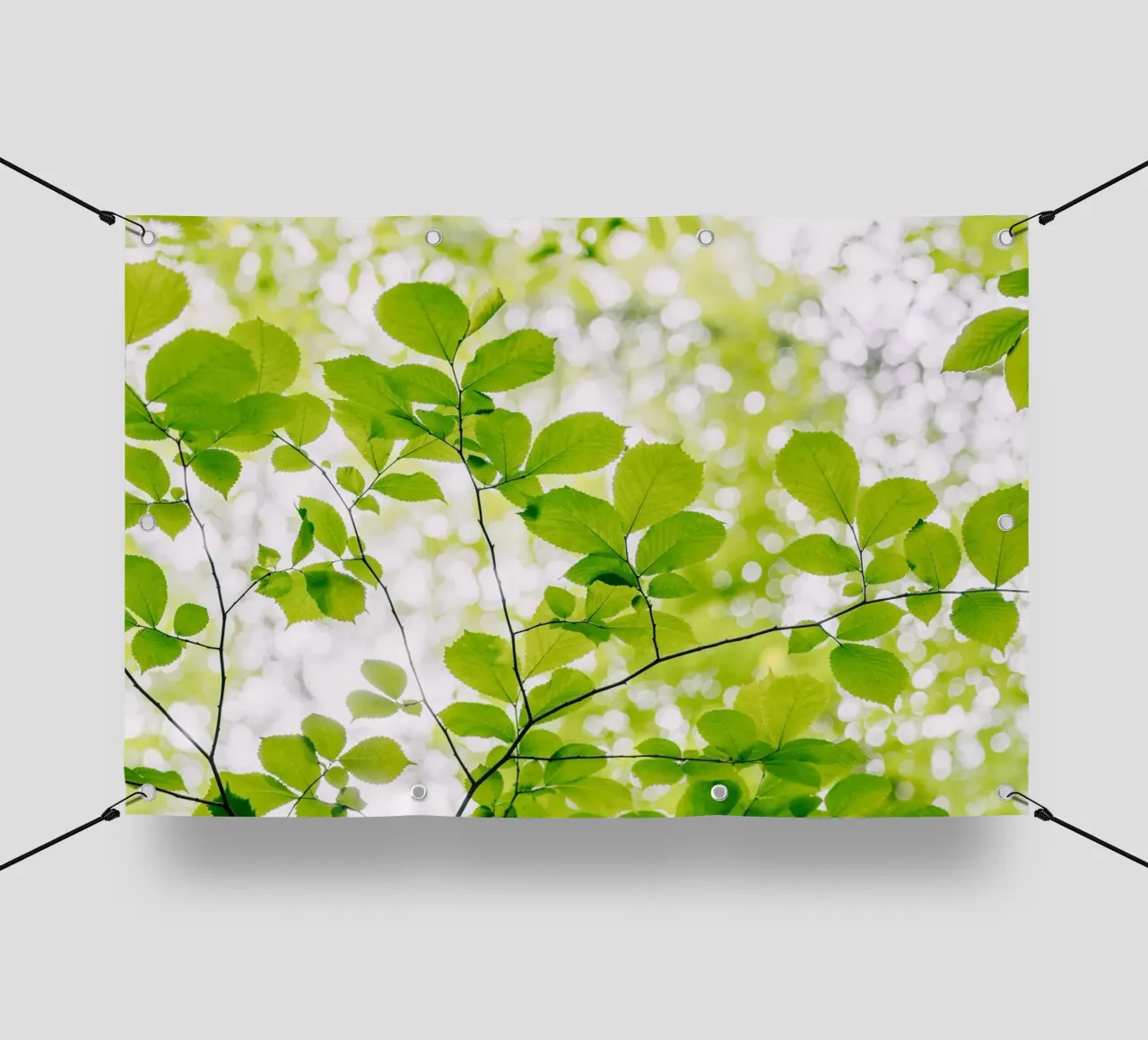foglie verdi telo in pvc da Earthly Visions