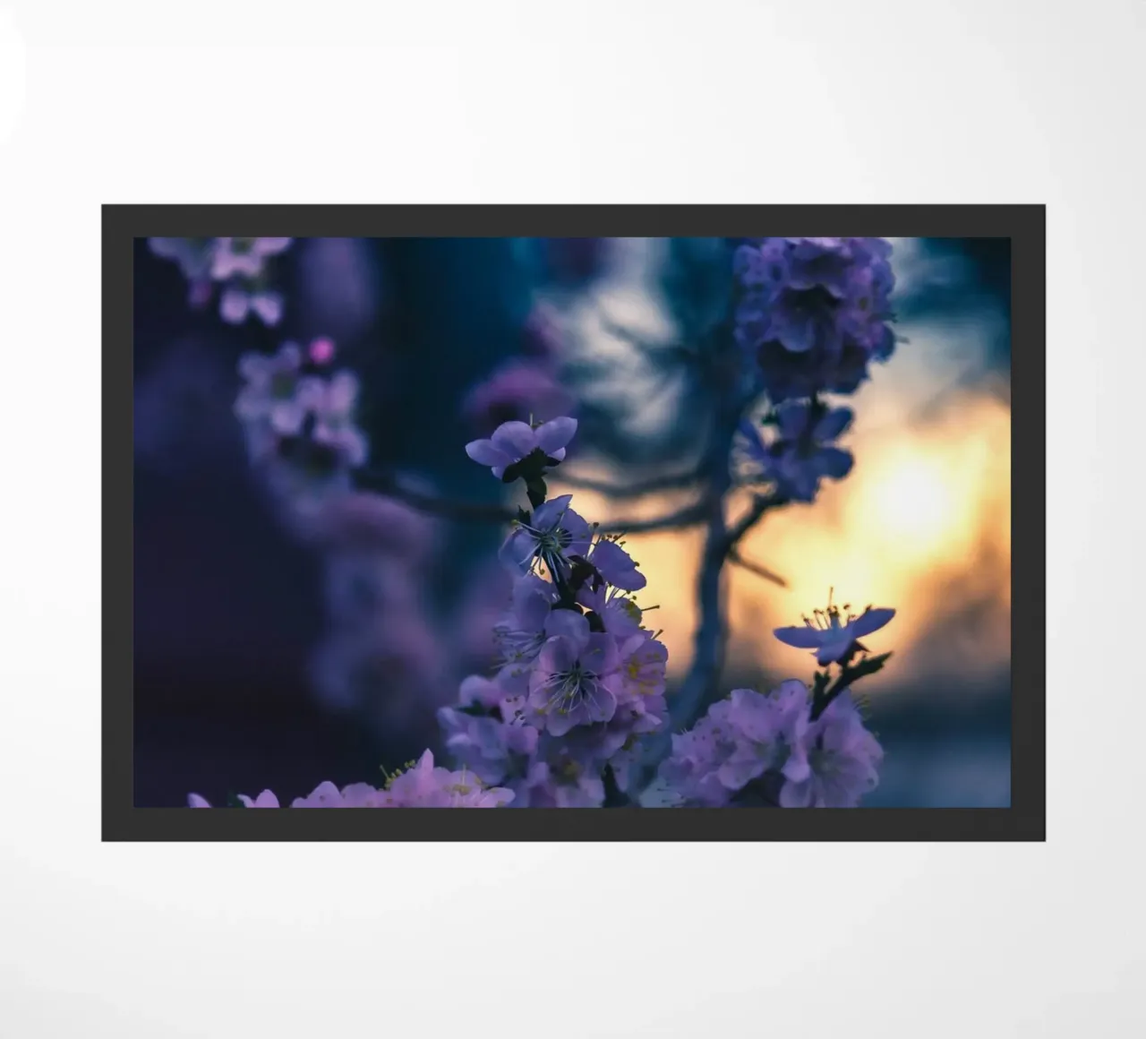 fiori di ciliegio zerbino da Earthly Visions