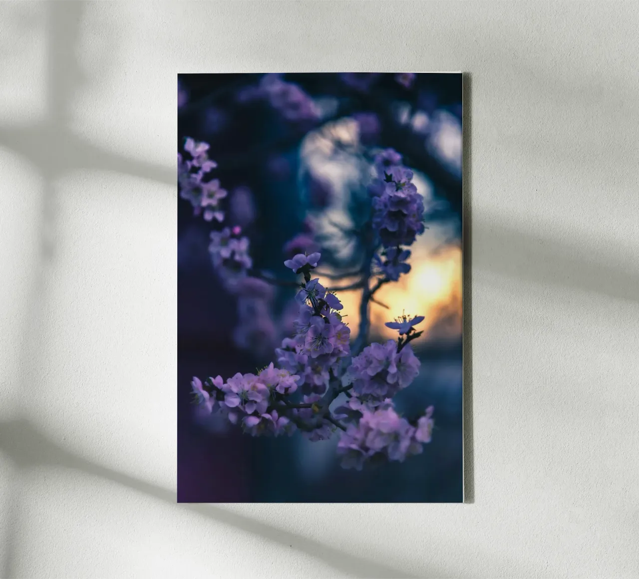 fiori di ciliegio tela con Cornice a cassetta da Earthly Visions
