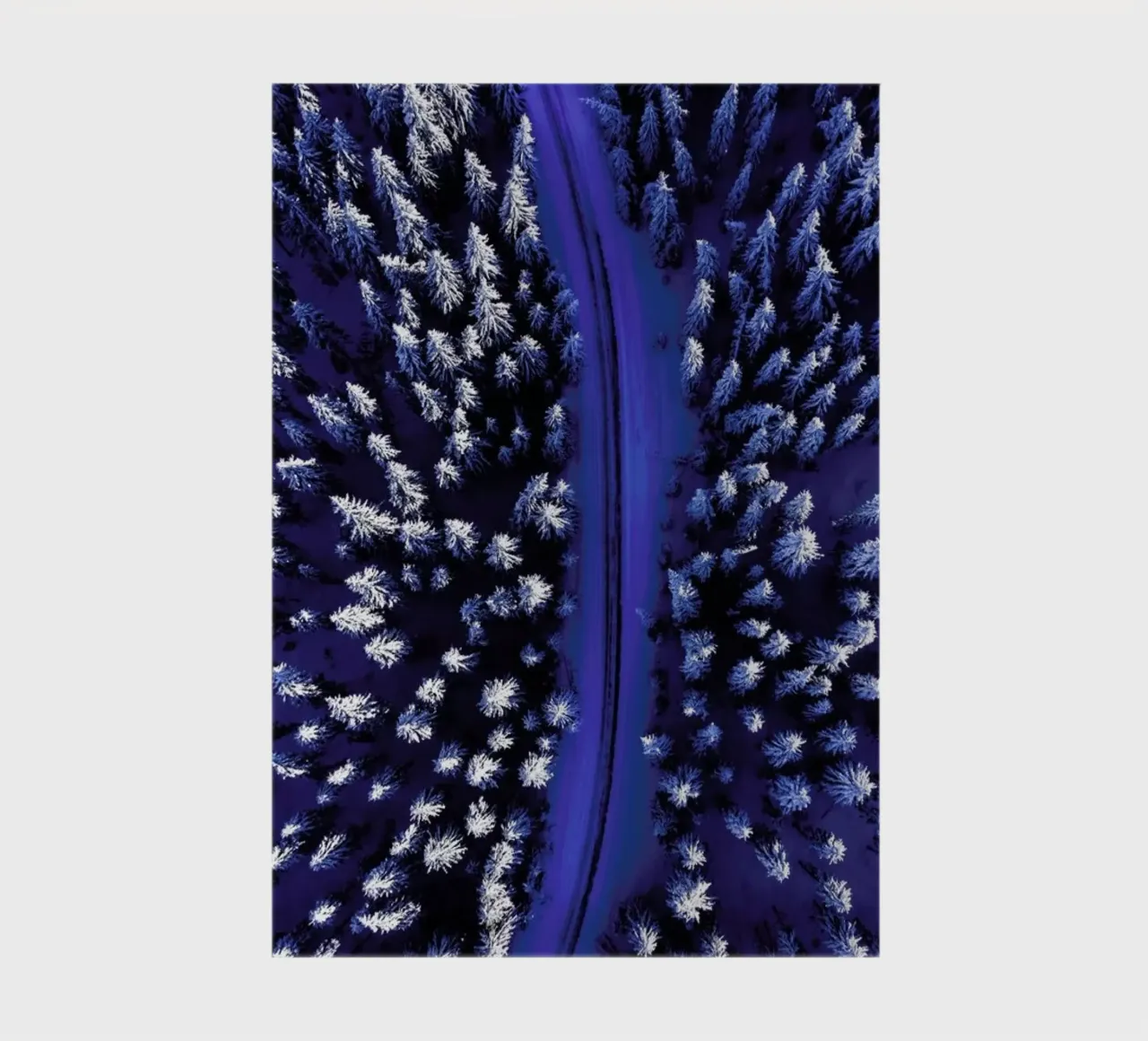 Snowcapped Pines notebook by EyeEm Mobile GmbH