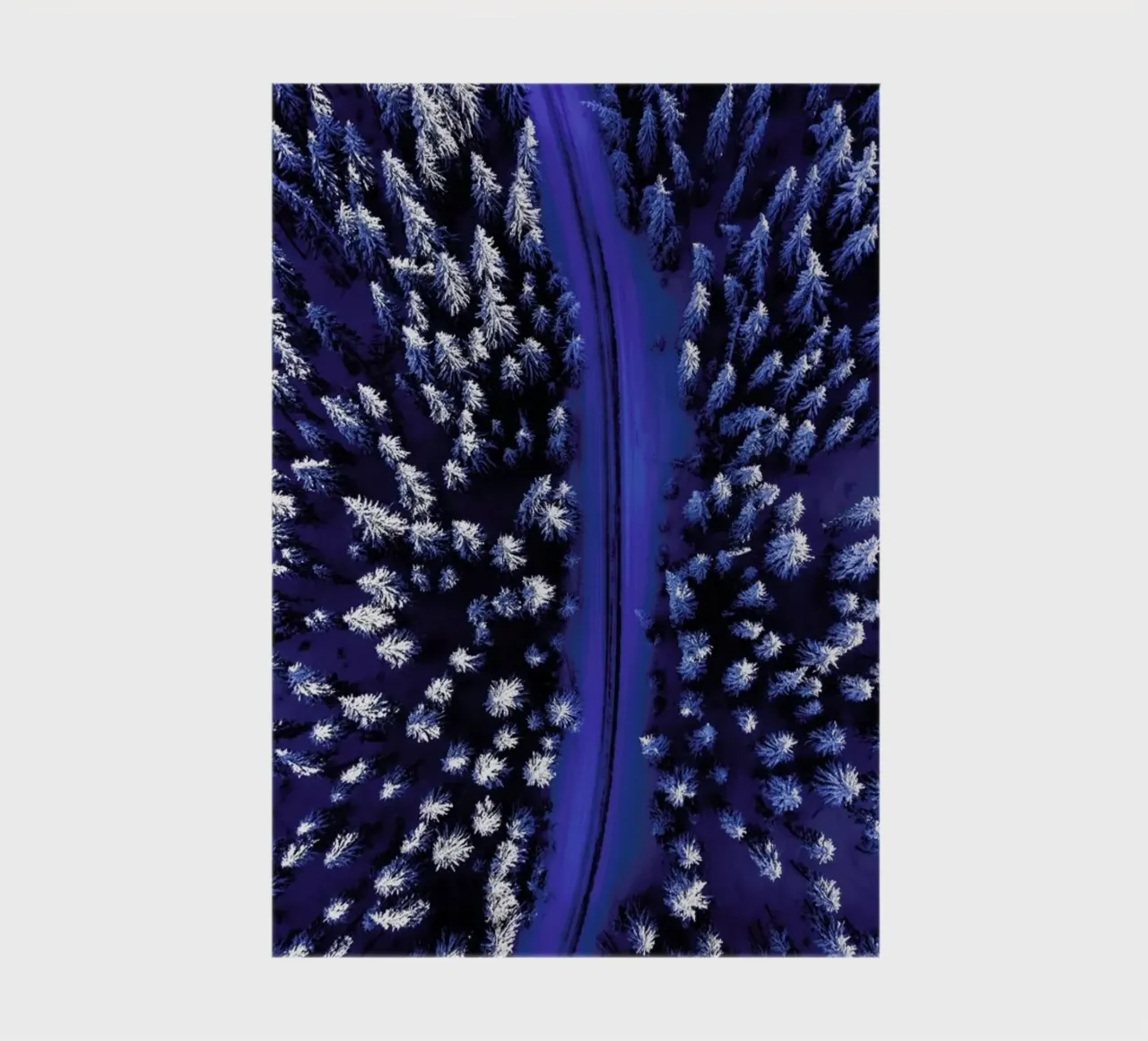 Snowcapped Pines notebook by EyeEm Mobile GmbH