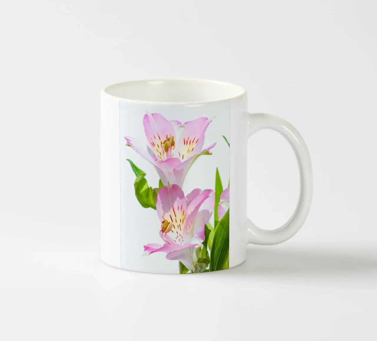 studi sulla flora #5 tazza in ceramica da rafael campezato