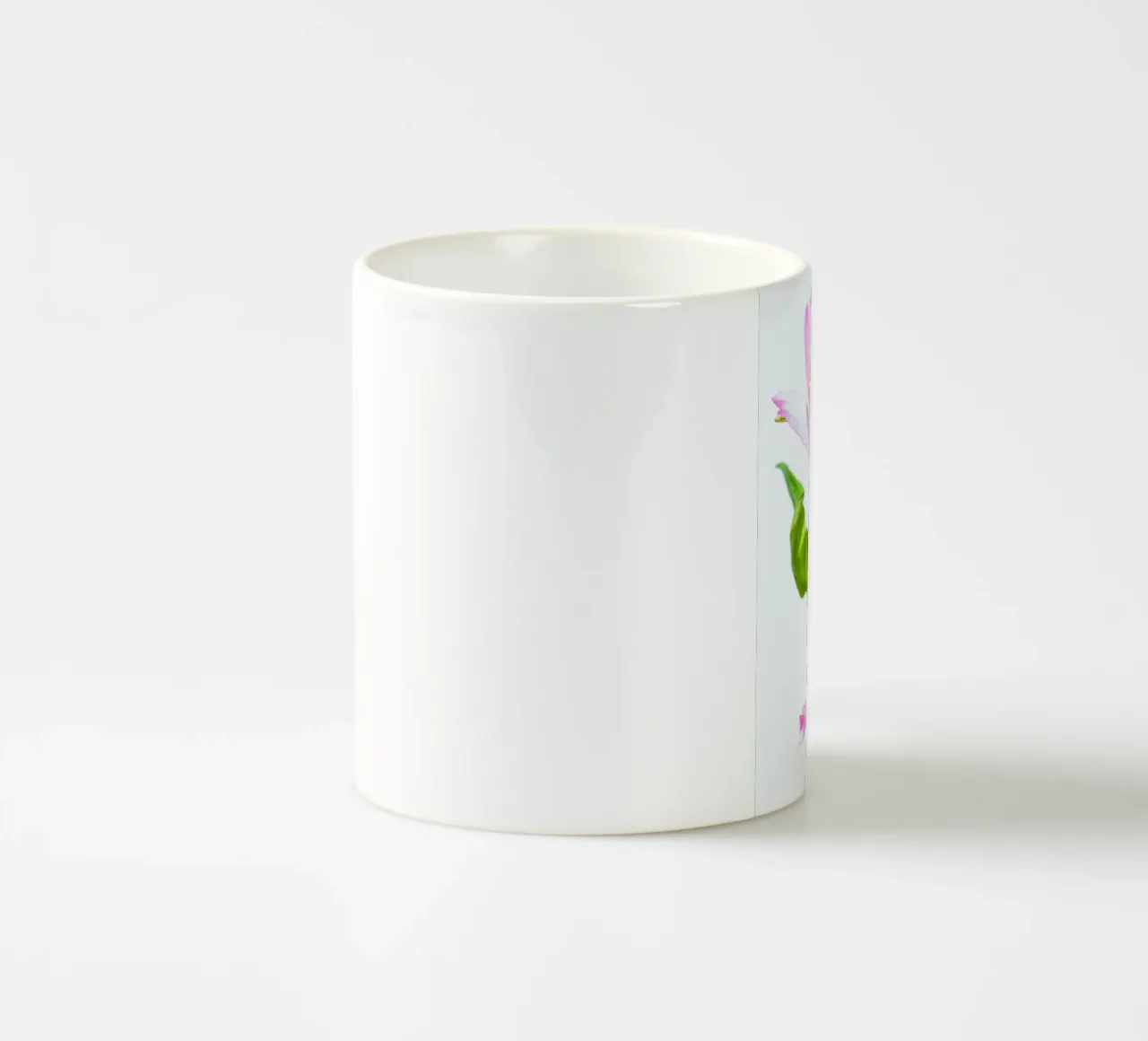 studi sulla flora #5 tazza in ceramica da rafael campezato