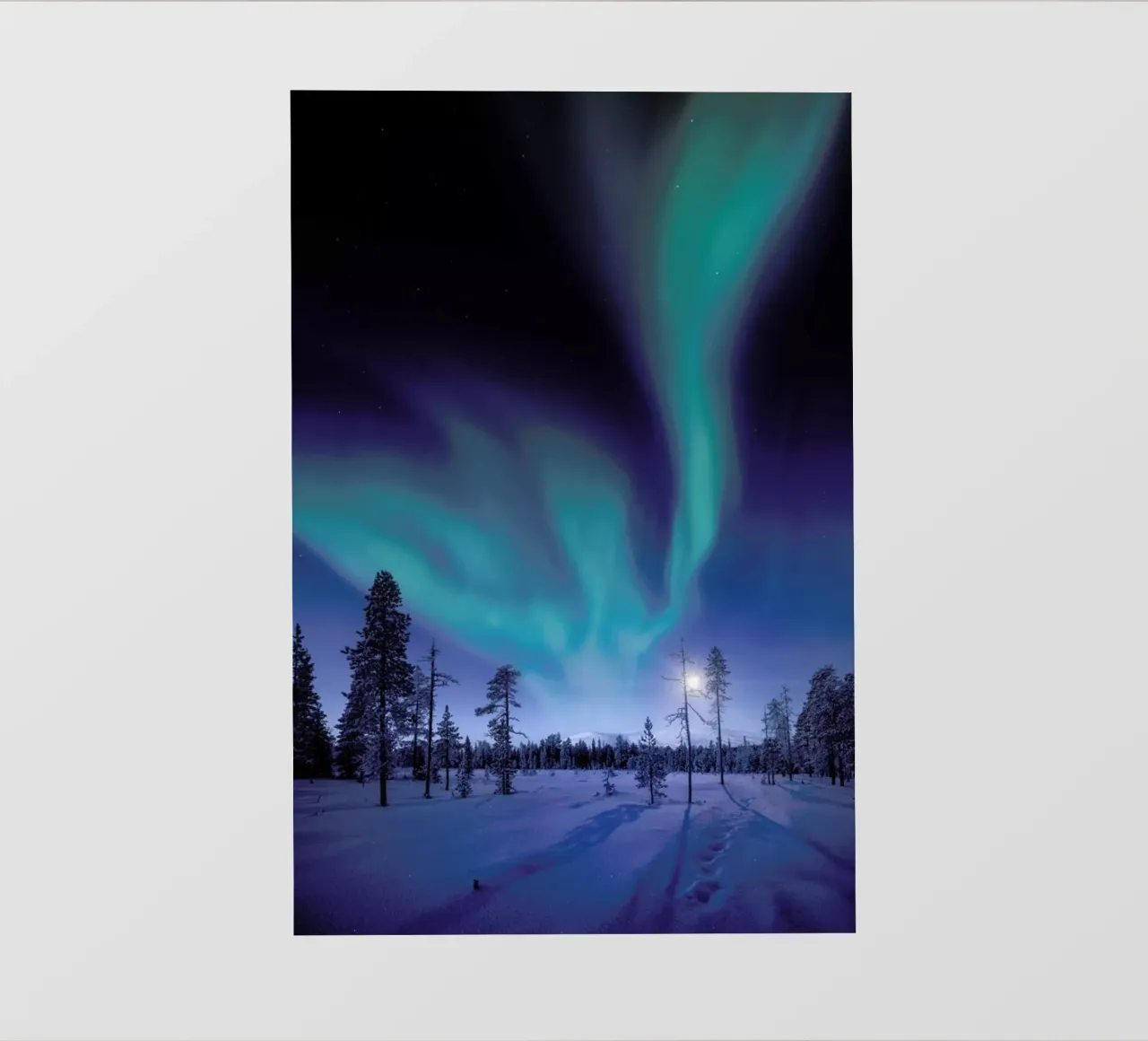 Aurora Borealis Above the Forest telo in pvc da EyeEm Mobile GmbH