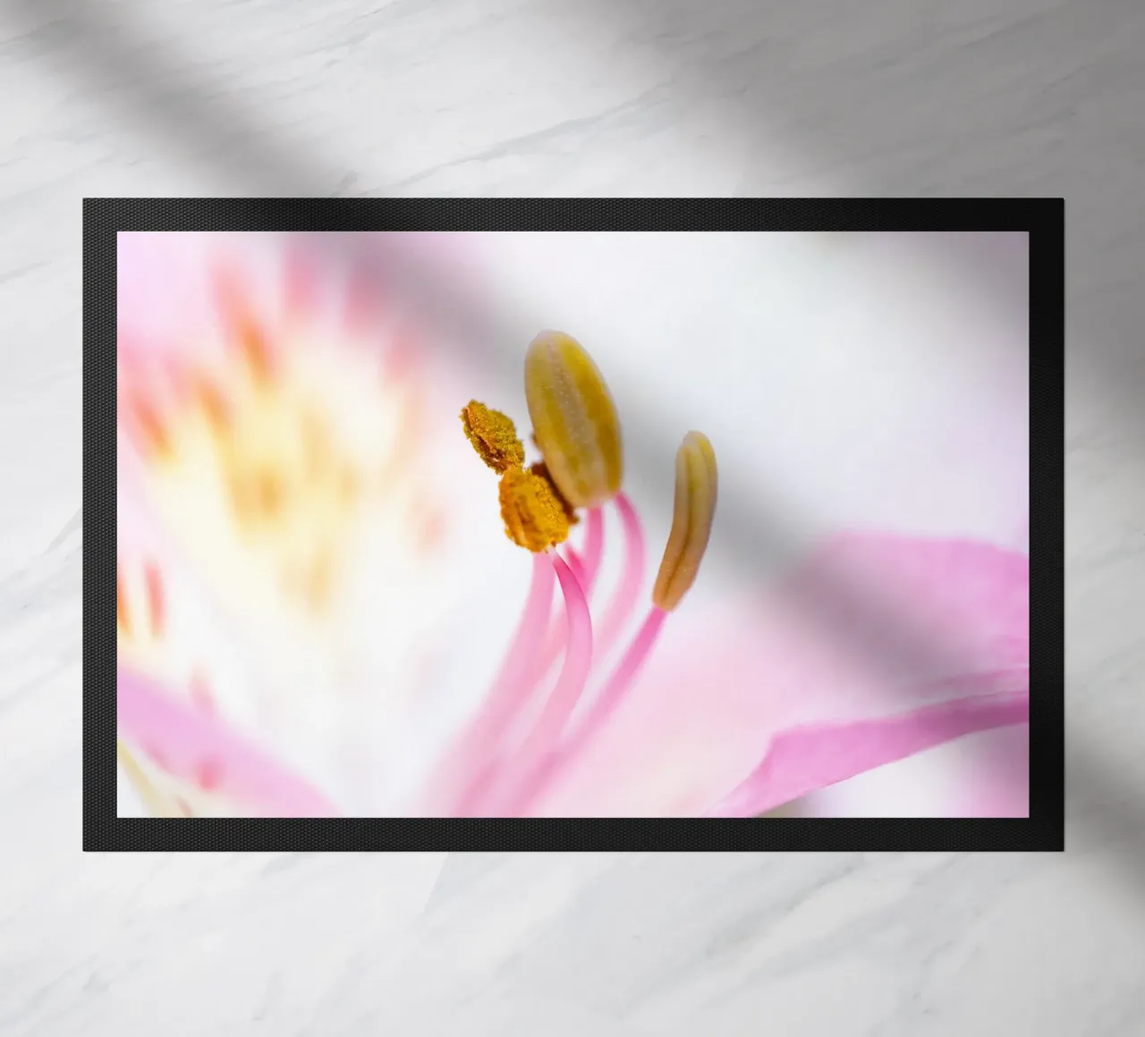 flora studies #6 doormat by rafael campezato