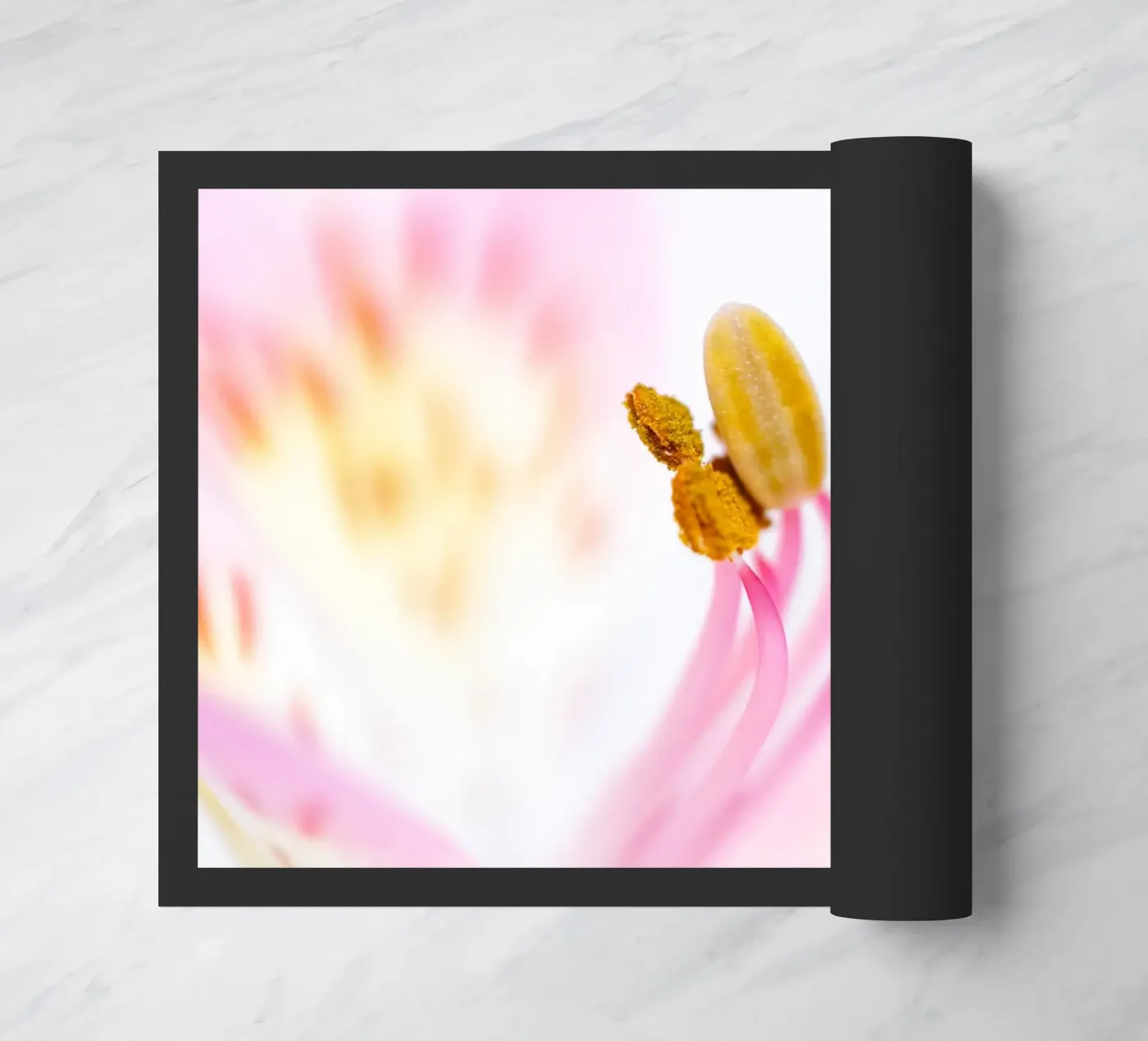 flora studies #6 doormat by rafael campezato