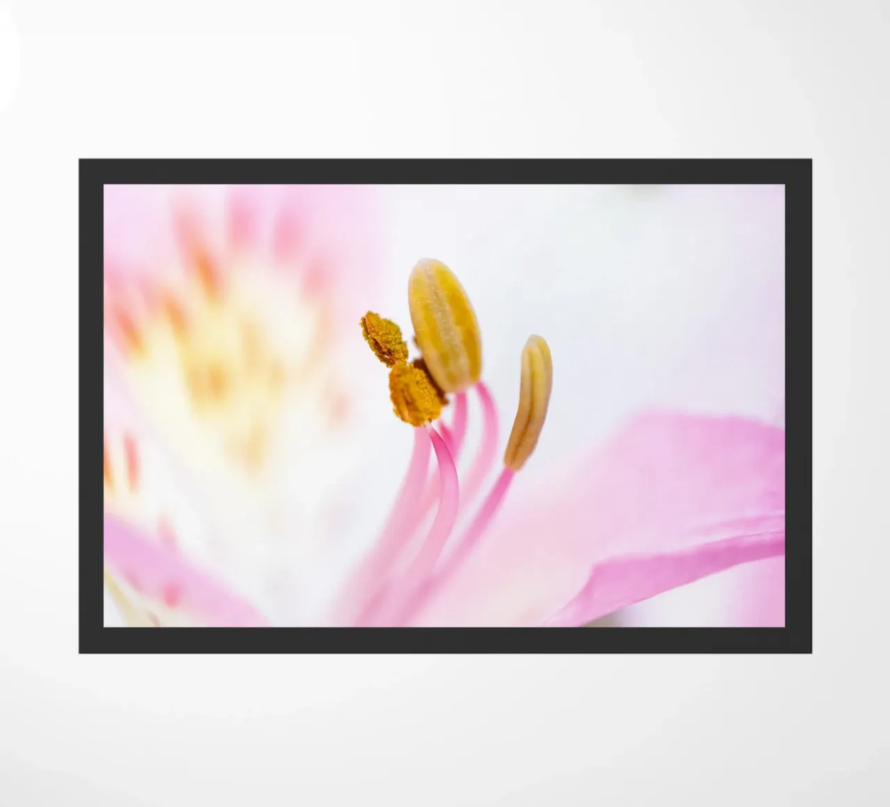 flora studies #6 doormat by rafael campezato