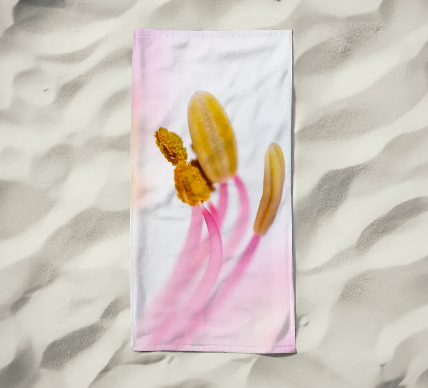 studi sulla flora #6 telo mare da rafael campezato