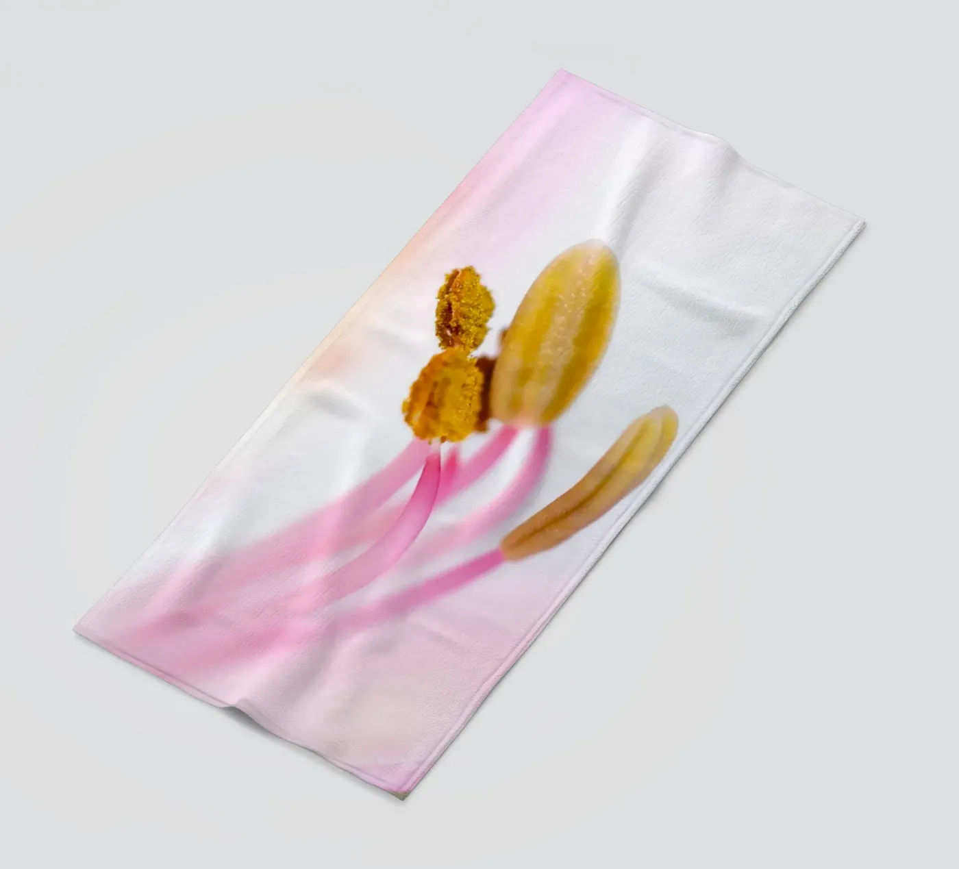 studi sulla flora #6 telo mare da rafael campezato