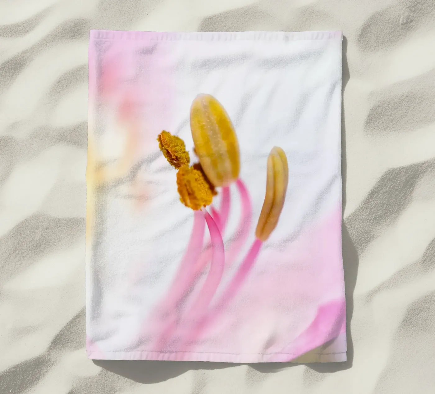 studi sulla flora #6 telo mare da rafael campezato