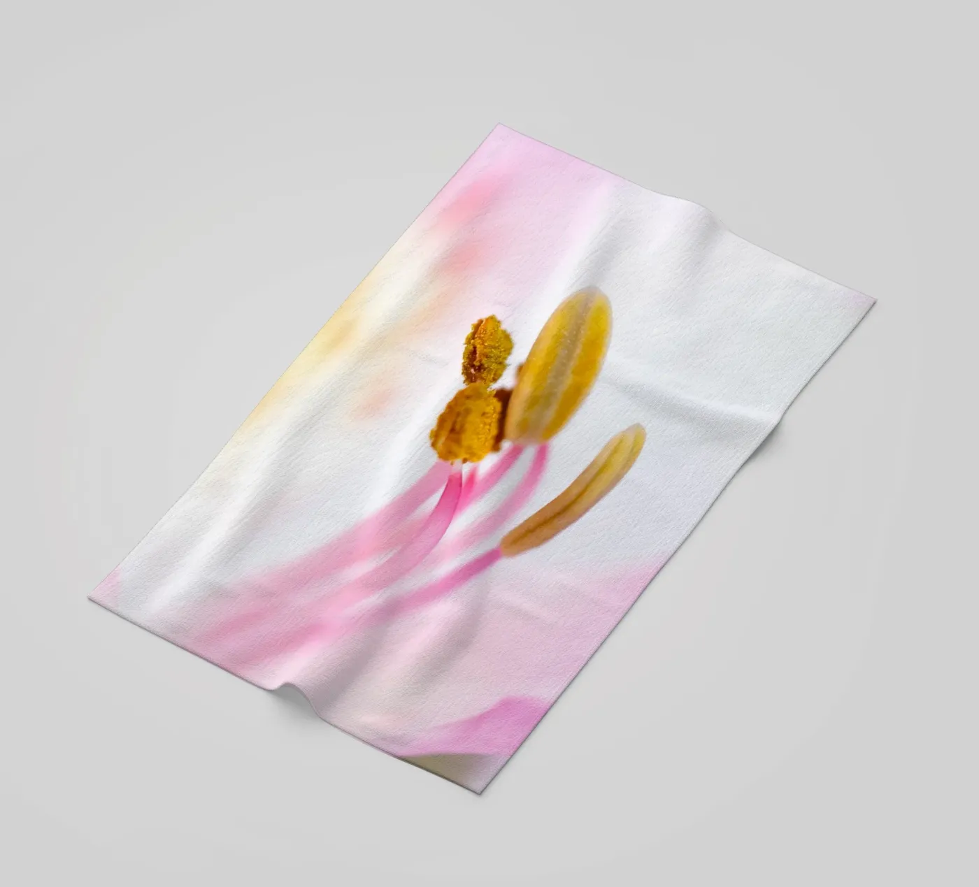 studi sulla flora #6 telo mare da rafael campezato