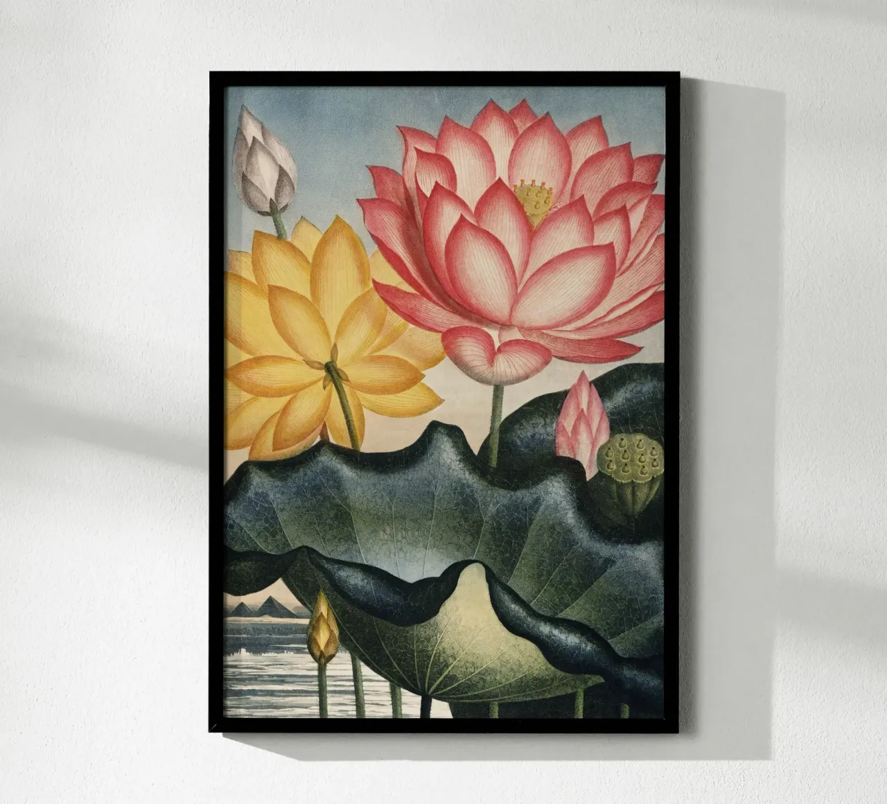 Vintage Thornton 5 Egyptian Bean poster con telaio in plastica da Vintage Print Collection