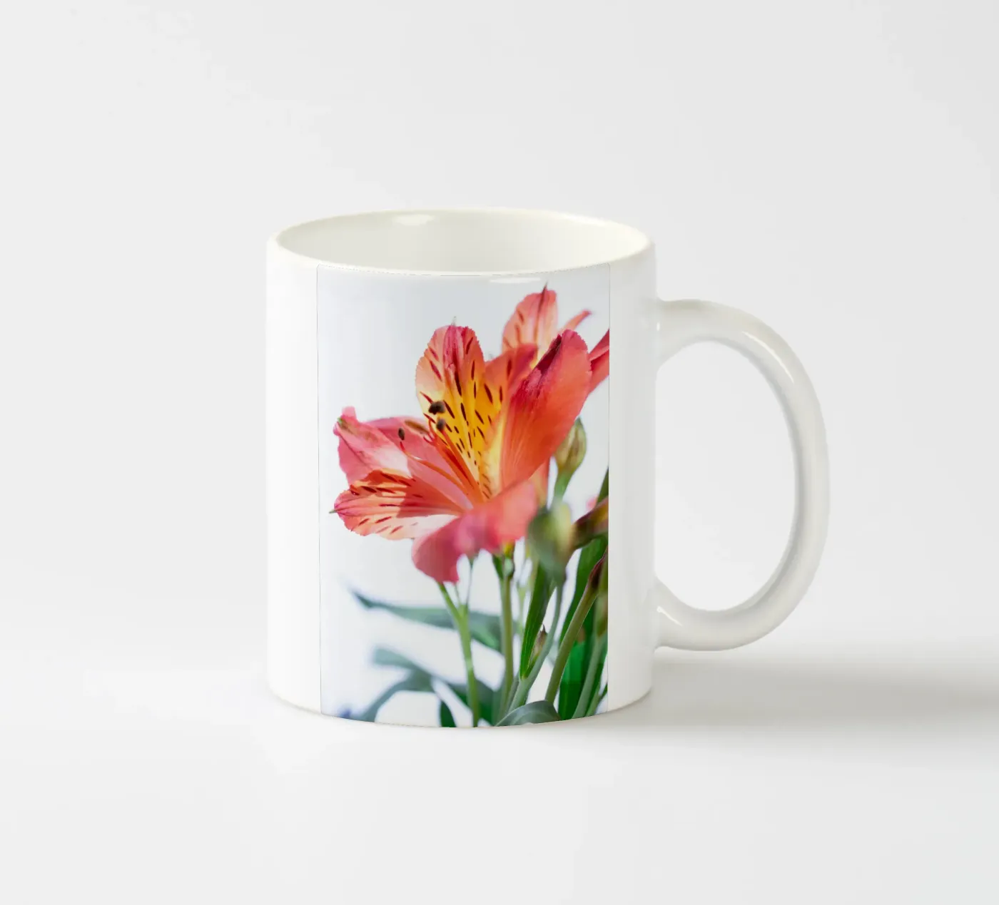 flora studies #7 ceramic mug by rafael campezato