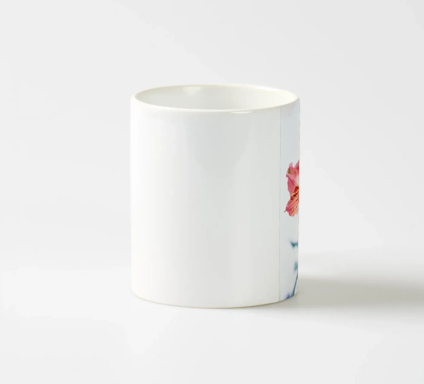 flora studies #7 ceramic mug by rafael campezato