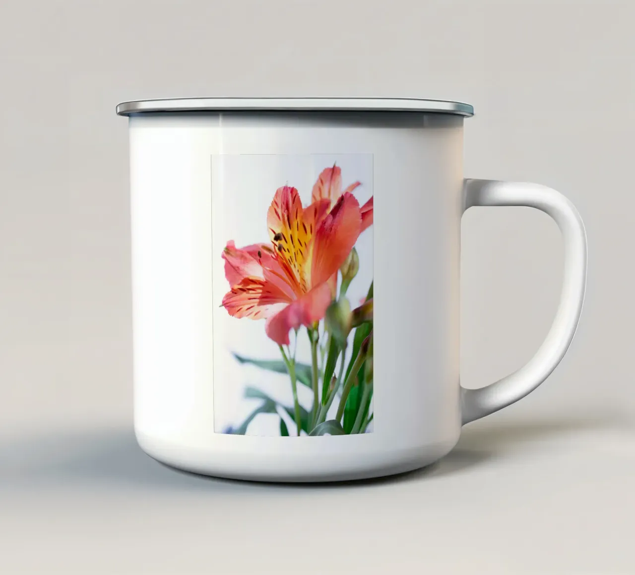 studi sulla flora #7 tazza in smalto da rafael campezato