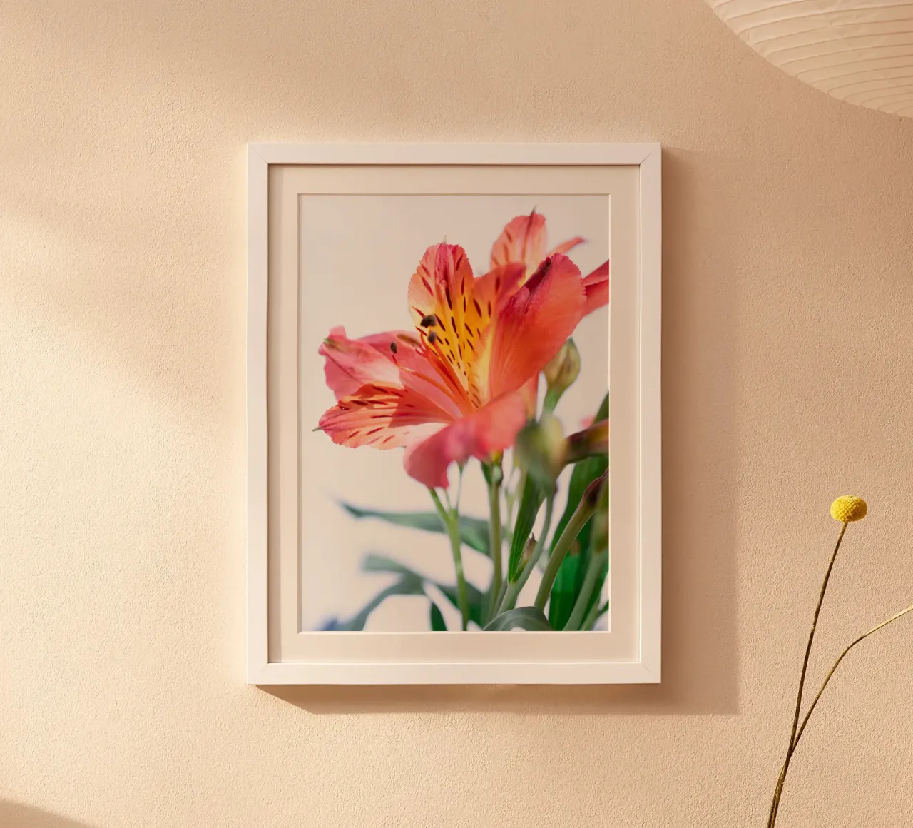 studi sulla flora #7 poster da rafael campezato