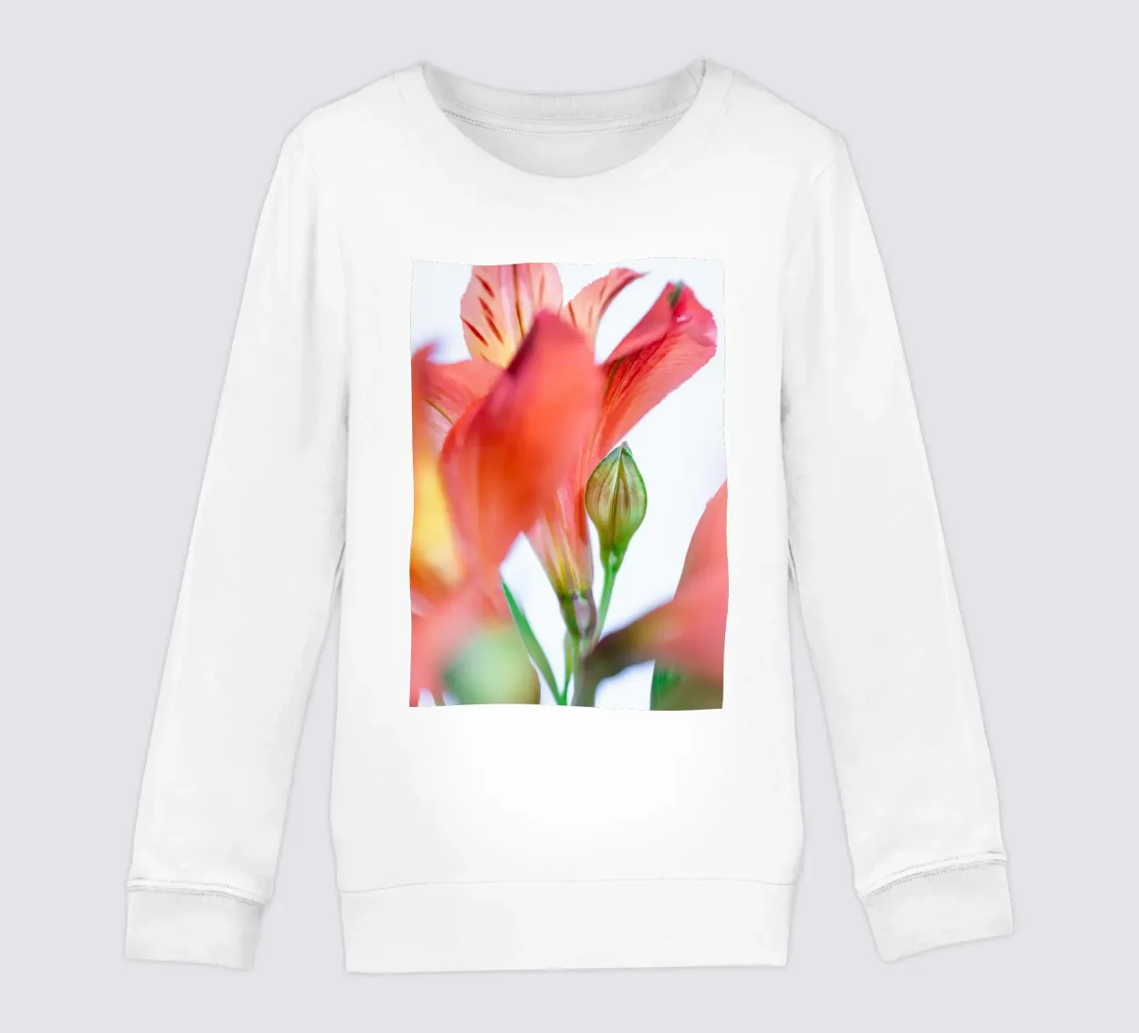 studi sulla flora #8 felpa bambino da rafael campezato