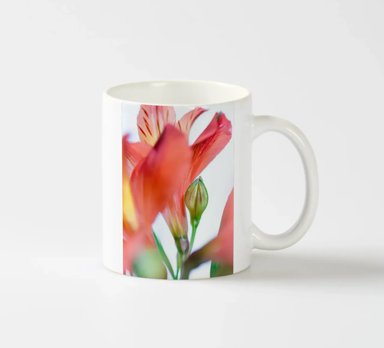 studi sulla flora #8 tazza in ceramica da rafael campezato