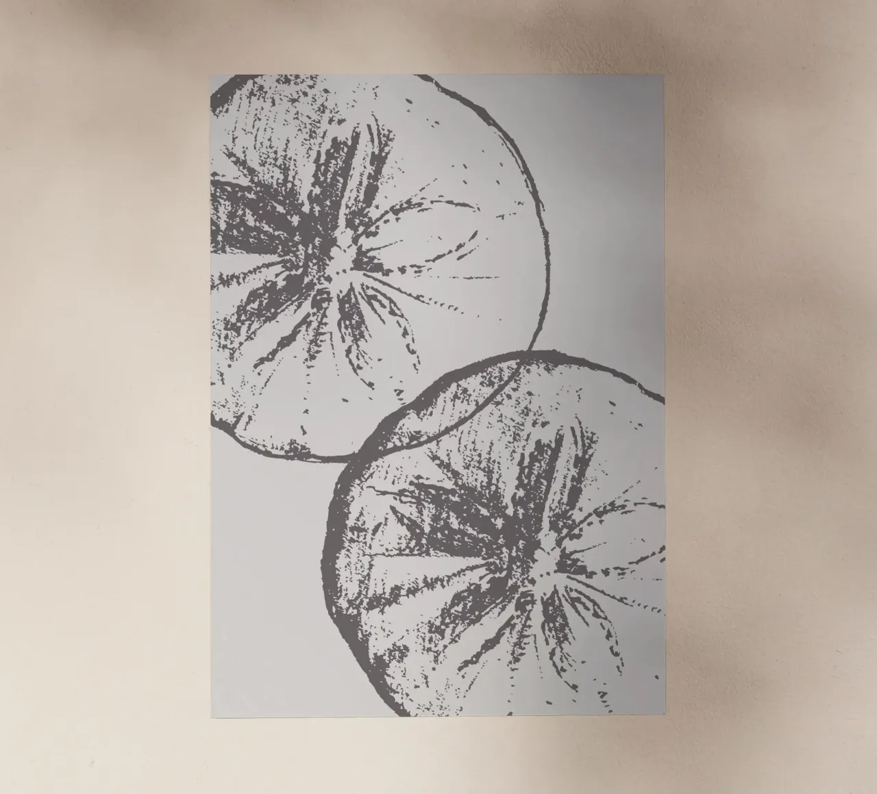 Stampa neutra di fette di agrumi - Arredo cucina moderno e minimalista pellicola backlit da ClubArt