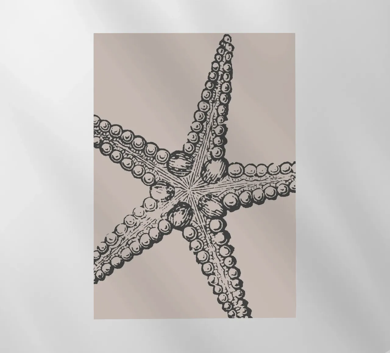 Detailed Starfish Print - Earthy Tones, Modern Marine Life A backlit film by ClubArt