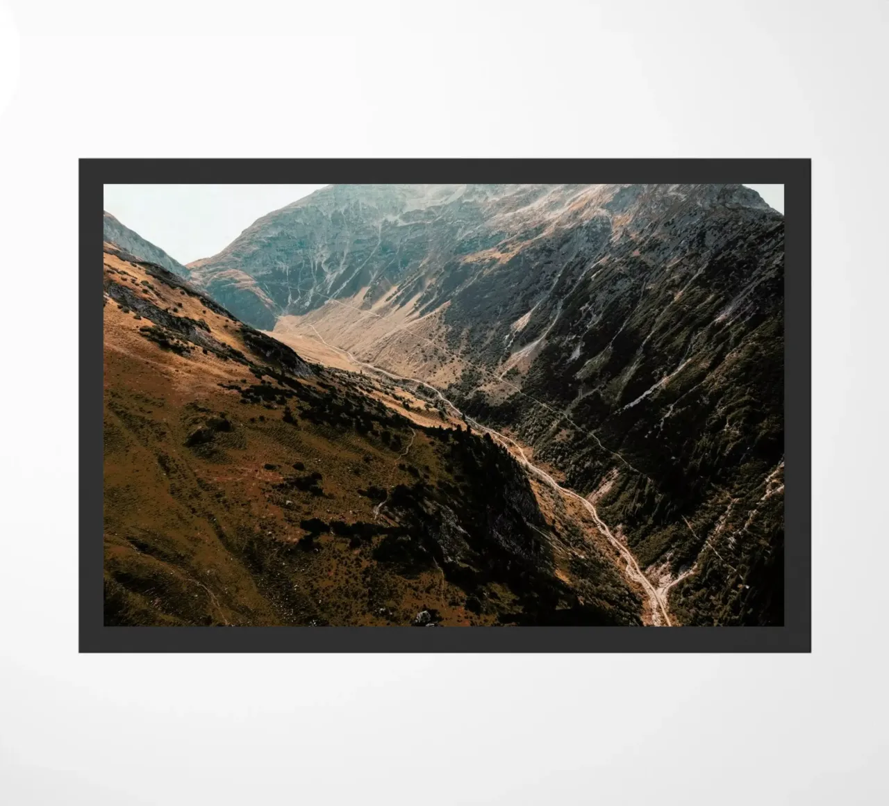 Unknown Planet zerbino da Sebastian Hilgetag